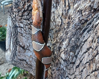 Bastón de cedro tallado a mano con forma de serpiente – Bastón de senderismo Copperhead – Bastón rústico de madera