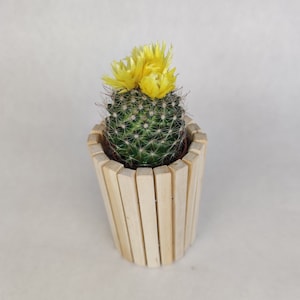 Wooden Plant Pot Cover - Handcrafted & Stylish