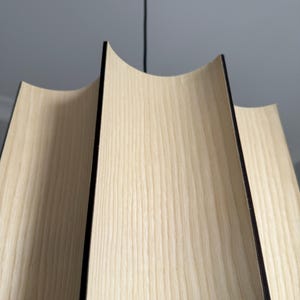 May include: A modern pendant light fixture with a unique design. The light features curved wooden panels with a light wood grain finish and black edges. The fixture hangs from a black cord, showcasing a contemporary aesthetic.