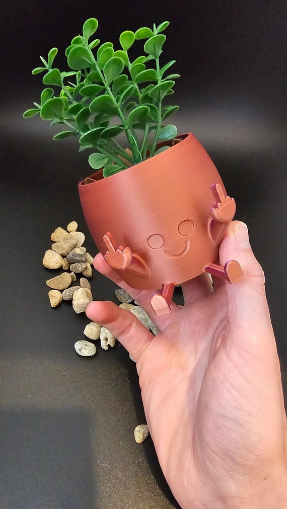  Middle Finger Happy Planter Kawaii Planter Pot with Face,  Succulent, Indoor for Garden, Great Gift : Handmade Products