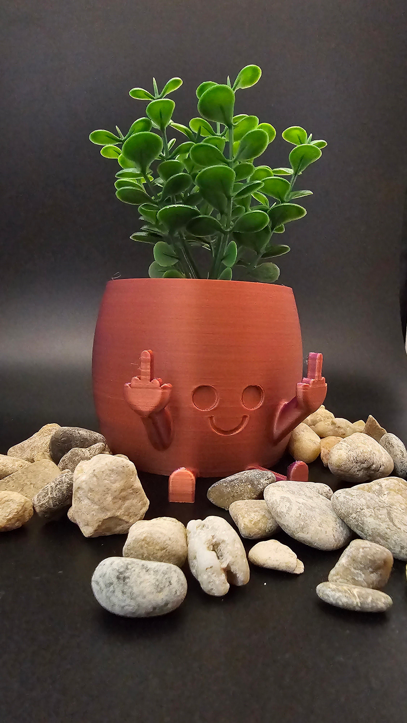 Happy Middle Finger Plant Pot Rude Offensive Desktop Planter TikTok Work  Funny