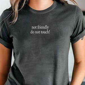Not Friendly Do Not Touch! Shirt Comfort Colors® Custom Text, Funny Humor Shirt, Adult Humor Tee, Sarcasm Tee, Funny Trendy Shirt for Women