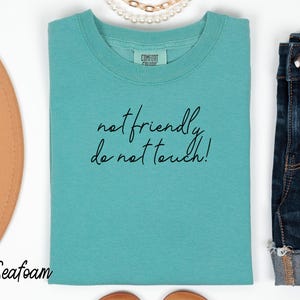 Not Friendly Do Not Touch Shirt Custom Text Comfort Colors®, Funny Humor Shirt, Adult Humor Tee, Sarcasm Tee, Funny Trendy Shirt for Women
