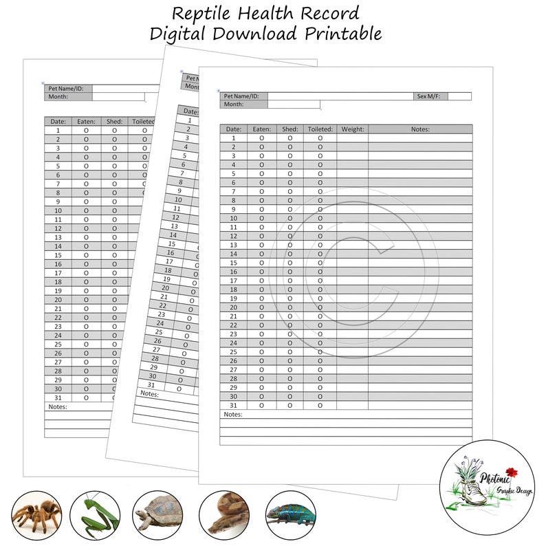Reptile Planner Lizard Snake Feeding Record Reptile Breeders Etsy