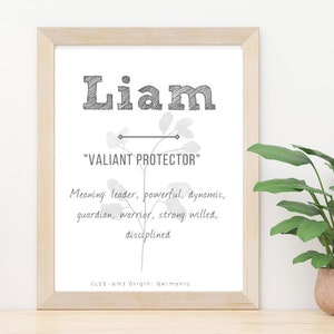 Liam Name Meaning Print Name Print Wall Art Minimalist -  Portugal