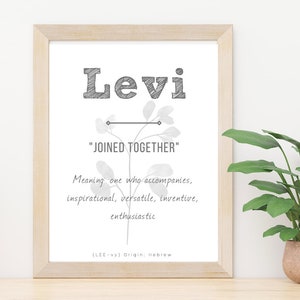Levi Baby Naam Betekenis, Baby Nursery Sign, Jongen Namen Printable, Instant download, Nolan teken, Afdrukbare betekenis van naam, nieuwe moeder cadeau
