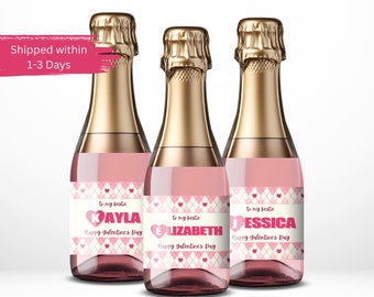 Galentines Weekend Mini Champagne Labels, Valentine's Mini Wine Label Gift for Bestie, Galentines Brunch Decor,  Valentines Day Label, HS02