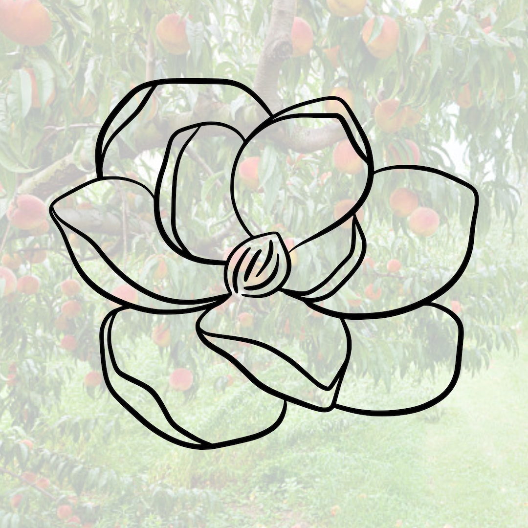 Magnolia Decal Magnolia Car Decal Magnolia Simple Flower Etsy