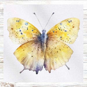 Printed Fabric Panel - Butterfly Fabric Panel - Quilt Panel - Quilting Fabric - Print on Fabric - Small Quilt Panel -Panel for Quilting