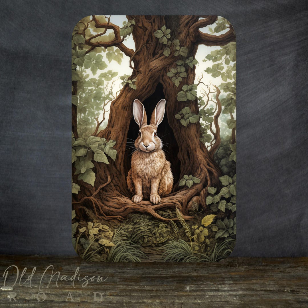 Rabbit Sign - Animal Sign - Hare Sign - Whimsical Woodland Metal Sign ...