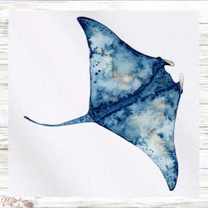 Peut inclure: Une peinture à l'aquarelle d'une raie manta bleue avec des accents blancs et bruns. La raie manta est représentée de manière stylisée et artistique, avec ses ailes déployées.