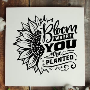 Sunflower Decal - Sunflower and Sunshine Decal - Sunflower - Bloom Where You are Planted decal - Flower Decal - Floral Sticker - Bee Decal