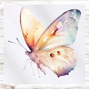 Printed Fabric Panel - Butterfly Fabric Panel - Quilt Panel - Quilting Fabric - Print on Fabric - Small Quilt Panel -Panel for Quilting