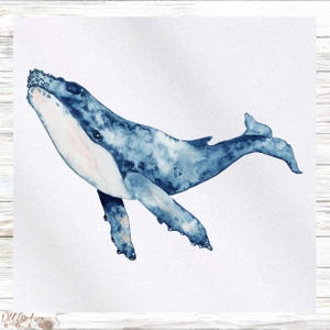 May include: A watercolor painting of a blue whale with a white belly, swimming in a light blue ocean. The whale is facing to the right and has its mouth open.