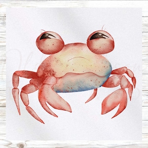 May include: Watercolor illustration of a crab with a light red body, red claws and legs, and large, round eyes. The crab's body has yellow and blue accents. The crab is set against a white background.