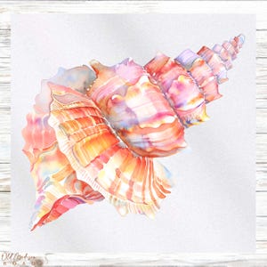 Ocean Themed Fabric Panel - Seashell Fabric Panel- Quilt Panel - Quilting Fabric - Print on Fabric - Small Quilt Panel - Panel for Quilting