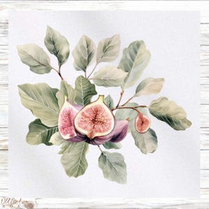 Floral Fabric Panel - Fig Fabric Panel - Quilt Panel - Quilting Fabric - Print on Fabric - Small Quilt Panel - Panel for Quilting