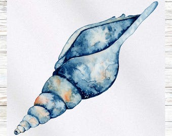 Puede incluir: Acuarela de una concha azul con forma de espiral. La concha presenta tonos azules y toques de naranja, con un aspecto texturizado. La obra de arte está sobre un fondo blanco, evocando un tema costero.