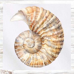 Ocean Themed Fabric Panel - Seashell Fabric Panel- Quilt Panel - Quilting Fabric - Print on Fabric - Small Quilt Panel - Panel for Quilting