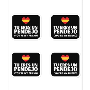 Tu eres un pendejo - Sarkastischer Witz Aufkleber in spanischer Sprache, spanischer Humor für Sprachlehrer oder Major, Back to College School Geschenk