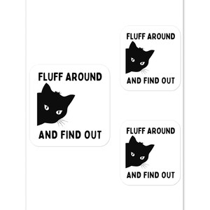 Cat Comedy Unleashed, Fluff Around and Find Out, regalo per gli amanti dei felini, appassionati di commedia, per celebrare giornate di divertimento informale, feste feline