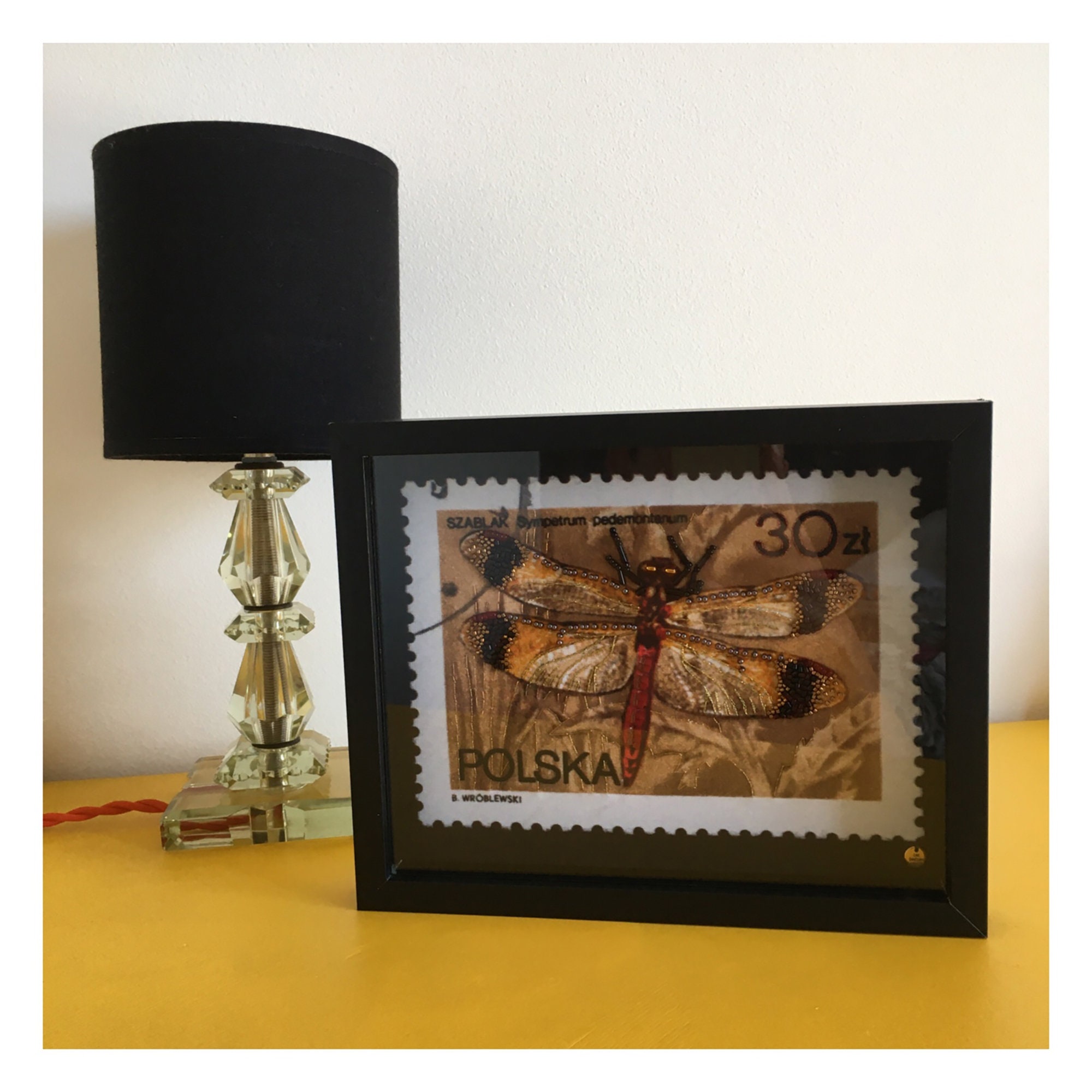 Cadre Timbre Sympetrum Pedemontanum - Les Bestioles d'agathe