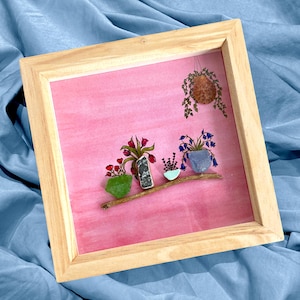Framed sea glass art - pink seaglass art with shells and watercolour - houseplant shelf with hanging plant in wooden deep box frame
