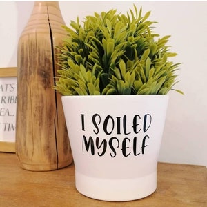 Novelty Funny Quirky Plant Pot Planter