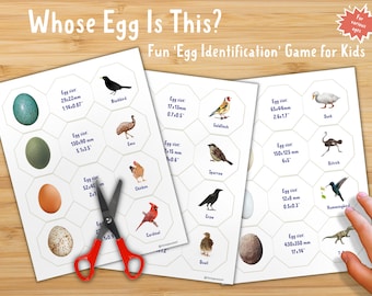 Birds' Egg Identification Game: Printable Learning Cards (PDF)