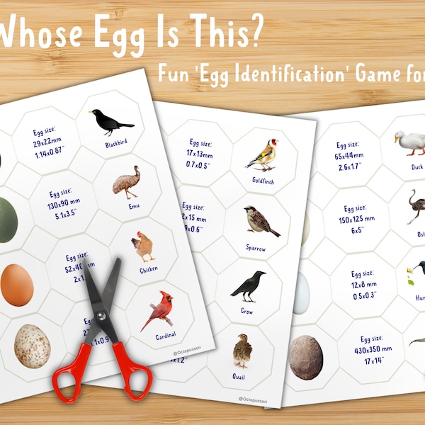Whose Egg Is This? Educational Birds' Egg Identification Game Bundle For Kids, Printable Learning Cards And Worksheets, Fun Game For Easter