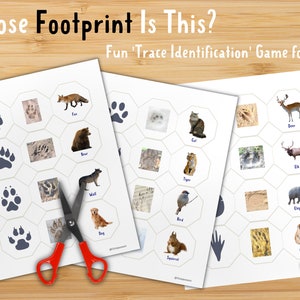 May include: Educational game sheets featuring animal footprints and images, including a fox, bear, wolf, dog, cat, tiger, bird, squirrel, deer, elk, elephant, and monkey. The text reads "Whose Footprint Is This?" and "Fun 'Trace Identification' Game for Kids."