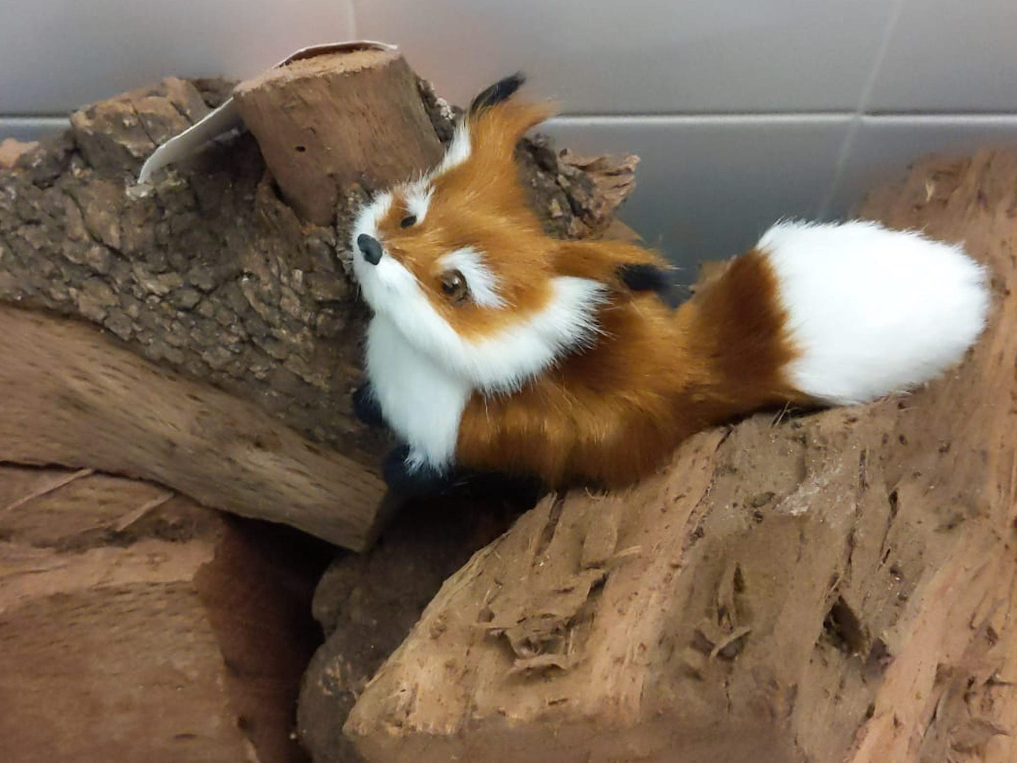 Cute Little Fox, Soft Furry Tiny Fox, Plush Fox, Mini Fox, 8-9 Cm, Animal  Figurines -  Canada