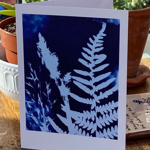 Fern velden kaart