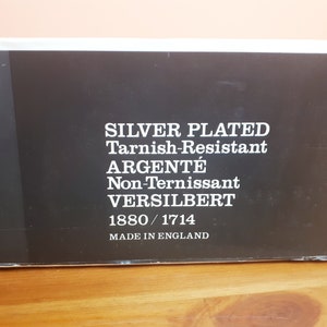 Royal Warwick Vassoio placcato in argento Pirofila in vetro per antipasti Vintage anni 70 immagine 6