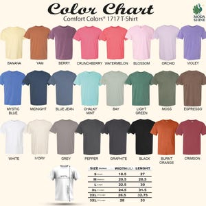 The image is a color chart for a 1717 T-shirt, displaying various comfort colors in a grid format.