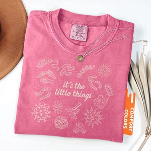 May include: A pink Comfort Colors t-shirt with the phrase "it's the little things" and various microbe illustrations in white. A silver necklace with a small pendant rests on the shirt. The shirt has a tag that says "Comfort Colors".