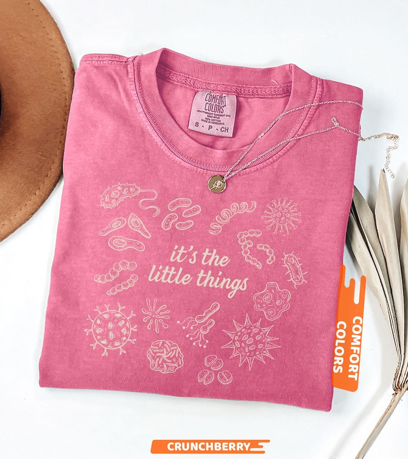 May include: A pink Comfort Colors t-shirt with the phrase "it's the little things" and various microbe illustrations in white. A silver necklace with a small pendant rests on the shirt. The shirt has a tag that says "Comfort Colors".
