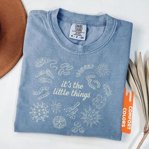 May include: Blue jean colored t-shirt with the text "it's the little things" and various microbe illustrations. The shirt is a Comfort Colors brand, size small. A brown hat and dried plant are in the background.