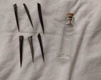 6 Black Thorns in a Bottle Witchcraft, Art ,Craft , Spells