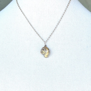 Conch Shell Silver Necklace