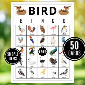 Bingo pour oiseaux | Bingo à oiseaux imprimable | Activités Oiseaux | Jeux de fête pour oiseaux | Activités d'étude de l'Unité des oiseaux | Unité Oiseaux | Activités ornithologiques pour les enfants
