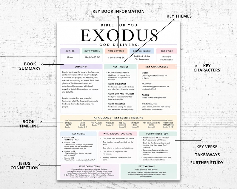MEGA Guías de Estudio Bíblico: Resúmenes de toda la Biblia (Imprimibles) imagen 16