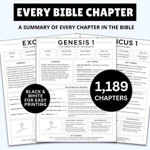 以下が含まれることがあります： EVERY BIBLE CHAPTER, A SUMMARY OF EVERY CHAPTER IN THE BIBLEというタイトルの白黒印刷された要約シートのコレクション。各ページは、著者、日付、要約、主要なテーマ、および1,189 CHAPTERSというテキストのセクションを備えた構造化されたレイアウトになっています。