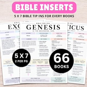 May include: A set of 5x7 inch Bible inserts featuring 66 books, with printed summaries, key themes, characters, and verses for each book. The pages include sections for author, book type, and key takeaways, organized with clear headings and text.