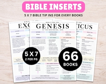 May include: A set of 5x7 inch Bible inserts featuring 66 books, with printed summaries, key themes, characters, and verses for each book. The pages include sections for author, book type, and key takeaways, organized with clear headings and text.