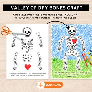 Op de afbeelding: Een printbare knutselactiviteit getiteld Valley of Dry Bones Craft met een skelet om uit te knippen en op te plakken. Het blad bevat instructies, een grijze steen, een rood hart en een ingekleurde versie met de tekst Ezekiel 36:26.