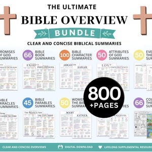 Mega Bible Overview: Summaries for the Entire Bible (Printable)