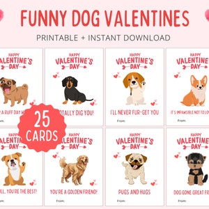 Saint-Valentin chien | Animaux de la Saint-Valentin | Saint-Valentin drôle de chien | Cours Saint-Valentin pour enfants | Saint-Valentin pour enfants | La Saint-Valentin pour la classe
