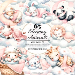 Watercolor Sleeping Animals Clipart, Sleeping Animals PNG, Sleepy Animals Clipart, Cute Sleeping Animals Clipart, Sleepy Baby Animals PNG