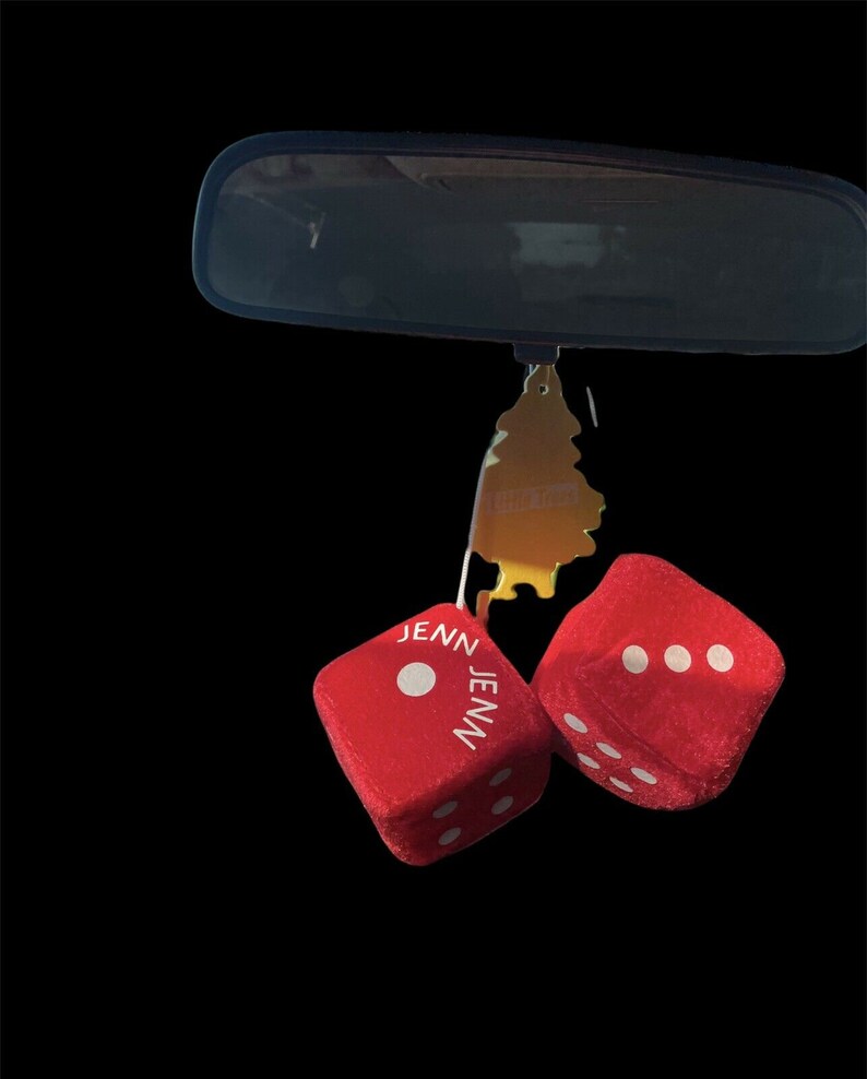 CUSTOM Personalized Car Dice Hanging Ornament, Customized Gift, Personalized Gift, Fluffy Dice